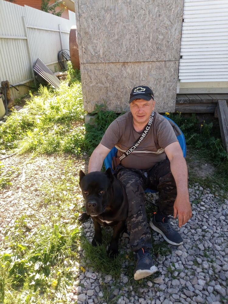 ���������� ������, ���� ������� ���������, 49 ���, ������������ ��� ����� � ���������, c�������� ���������