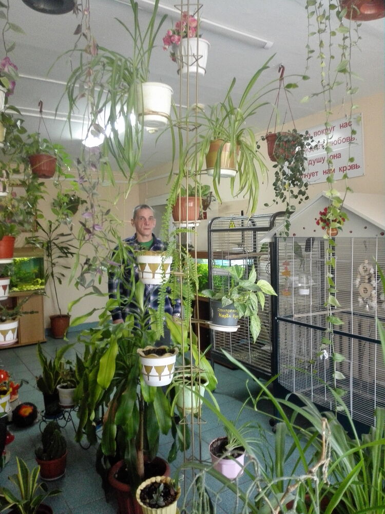 ���������� �����-���������, ���� ������� ���, 52 ����, ������������ ��� ������, ����� � ���������