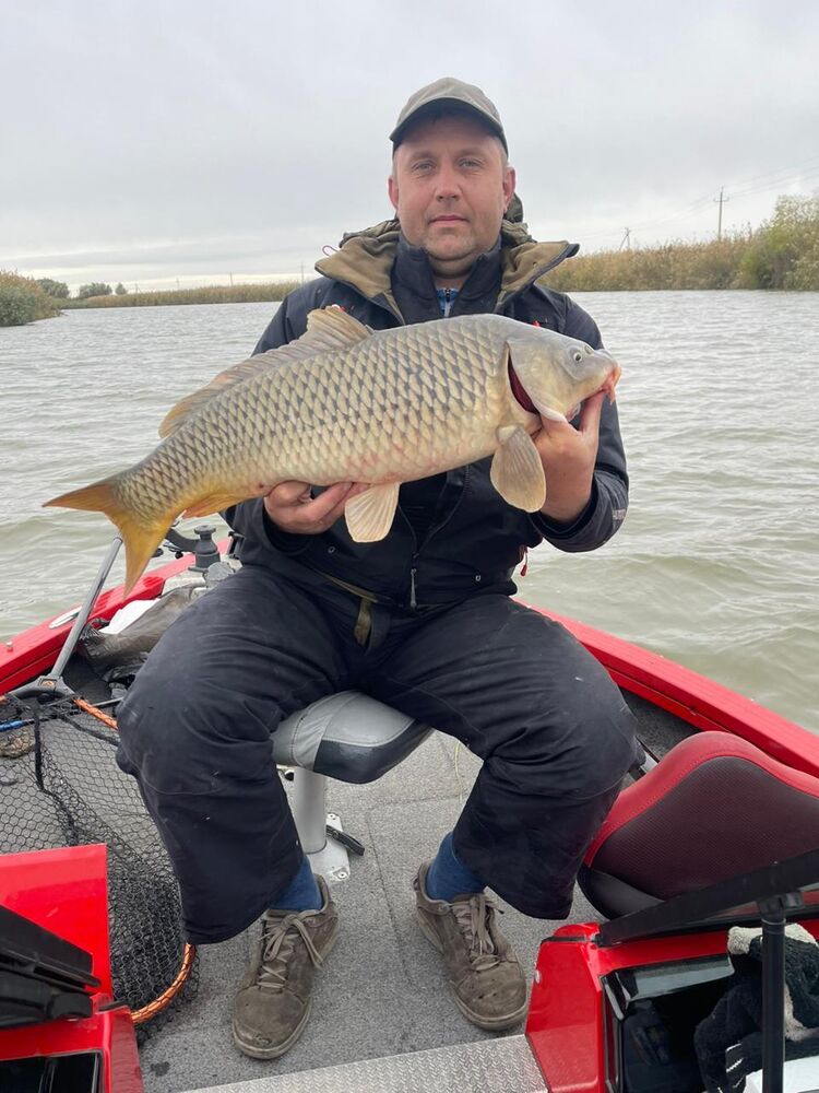 ���� 50209599 ������� Lost, 45 ���, ���� ���������� � ����� �������