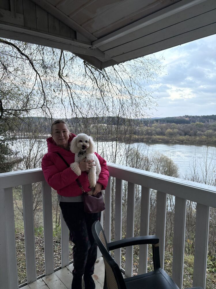 ���� 55905469 ������� ������, 55 ���, ���� ���������� � ���������