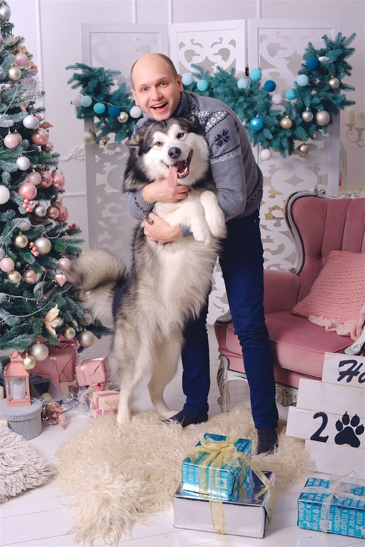 ���������� ��������, ���� ������� ������, 38 ���, ������������ ��� ������, ����� � ���������, c�������� ���������