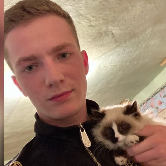  29981019  , 25 ,    --