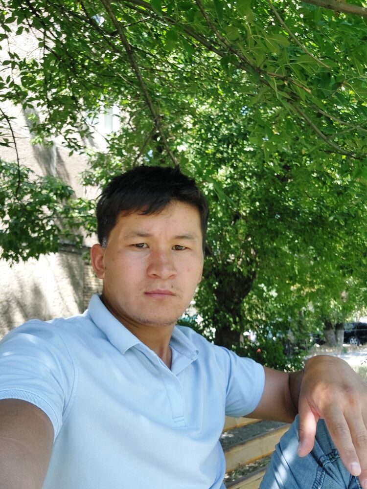 ���� 29368189 ������� �������, 33 ����, ���� ���������� � ��������