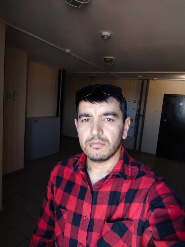  44140449  , 37 ,    