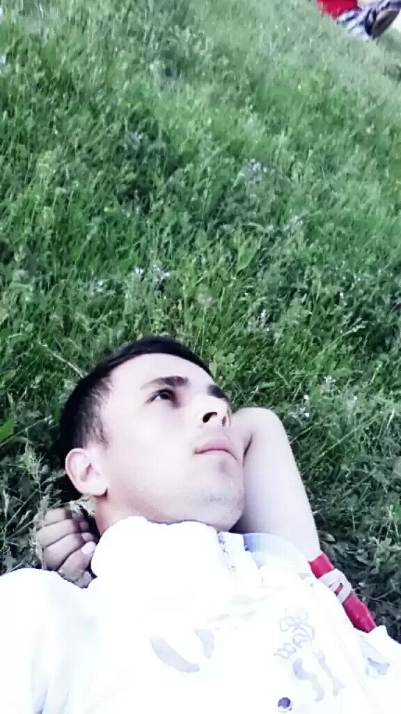  20066829  , 27 ,    