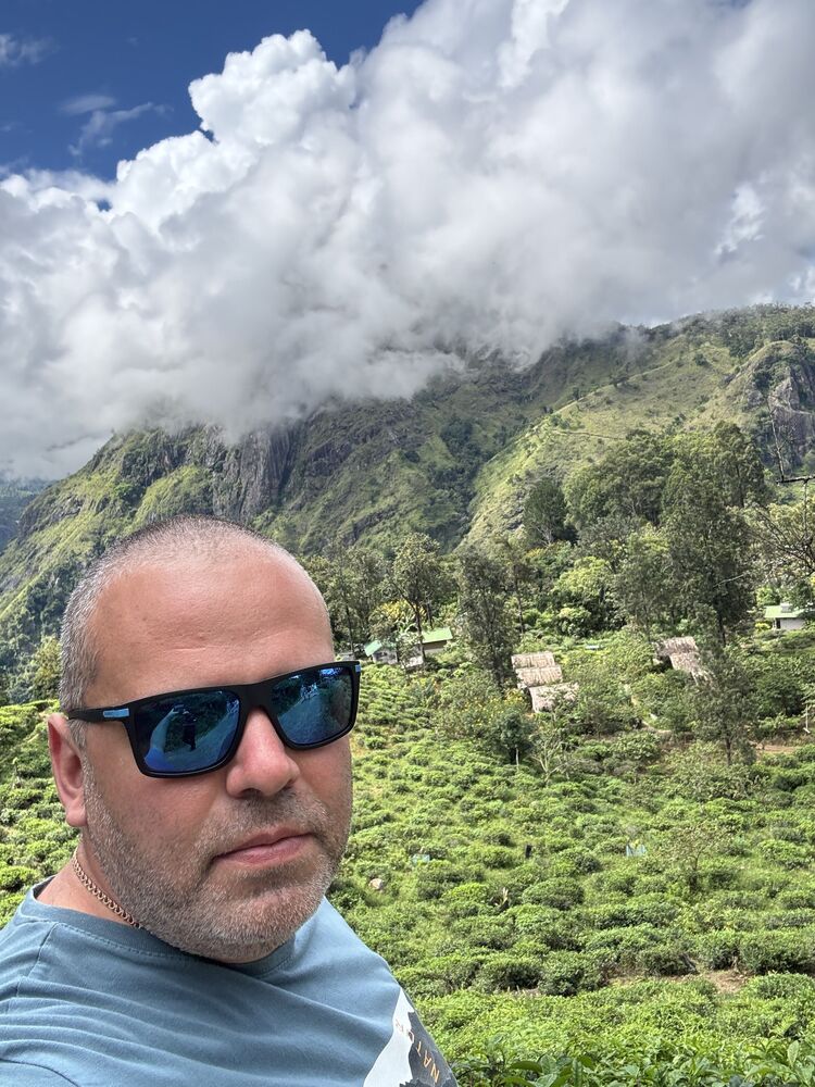  53917639  , 38 ,    -