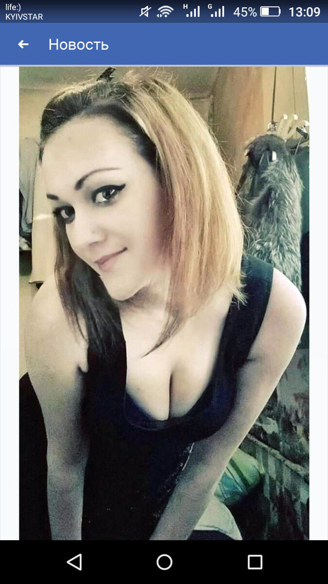  15846369  , 36 ,    