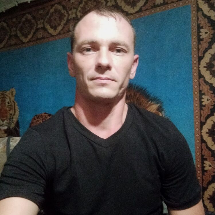 ���� 50554329 ������� ������, 33 ����, ���� ���������� � ����������