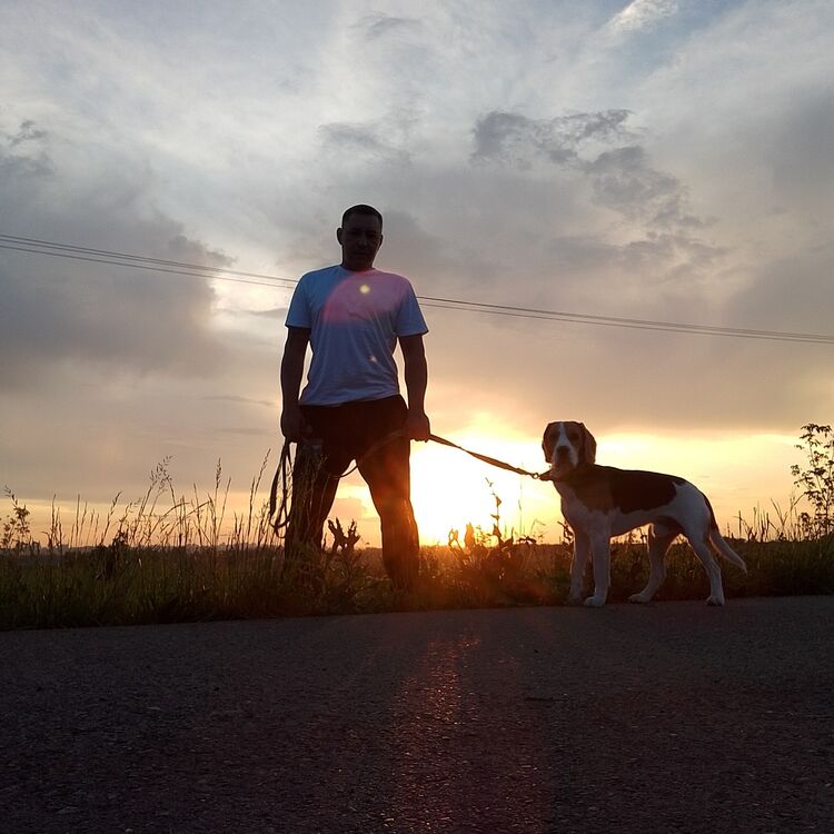 ���������� ���, ���� ������� �������, 37 ���, ������������ ��� ������, ����� � ���������