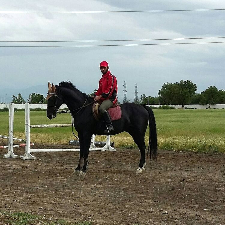 ���������� ������, ���� ������� Sam, 28 ���, ������������ ��� ������, ����� � ���������, c�������� ���������