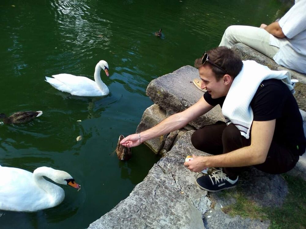 ���������� ����, ���� ������� �����, 36 ���, ������������ ��� ������, ����� � ���������, c�������� ���������, ���������