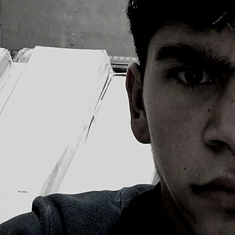  ,   Lion, 20 ,   ,   
