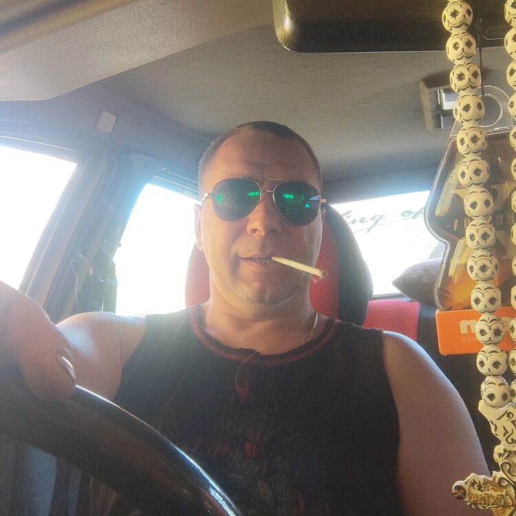 ���� 55306879 ������� �������, 44 ����, ���� ���������� � ����������