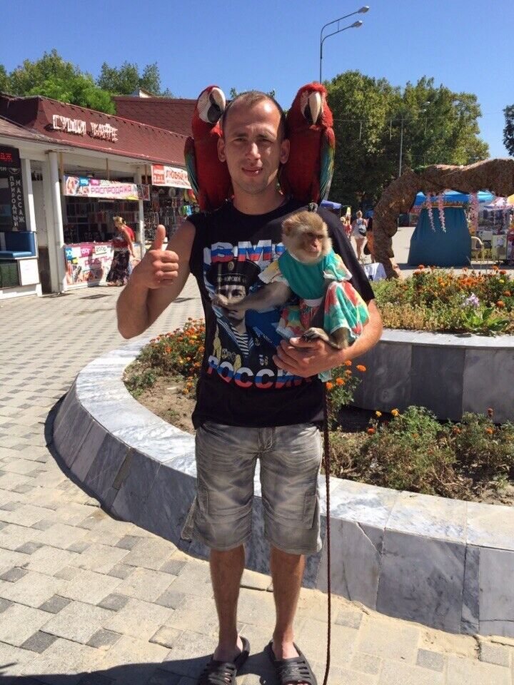 ���������� ������, ���� ������� �����, 35 ���, ������������ ��� ������, ����� � ���������, c�������� ���������