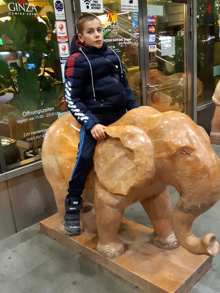 ���� 39545519 ����� ����, 20 ���, ���� ���������� � ������