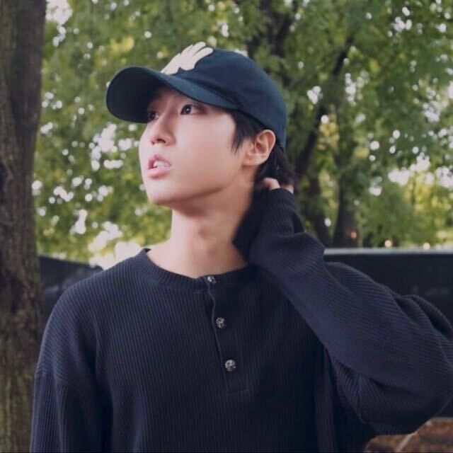 ���������� ���������, ���� ����� ���, 20 ���, ������������ ��� ���������