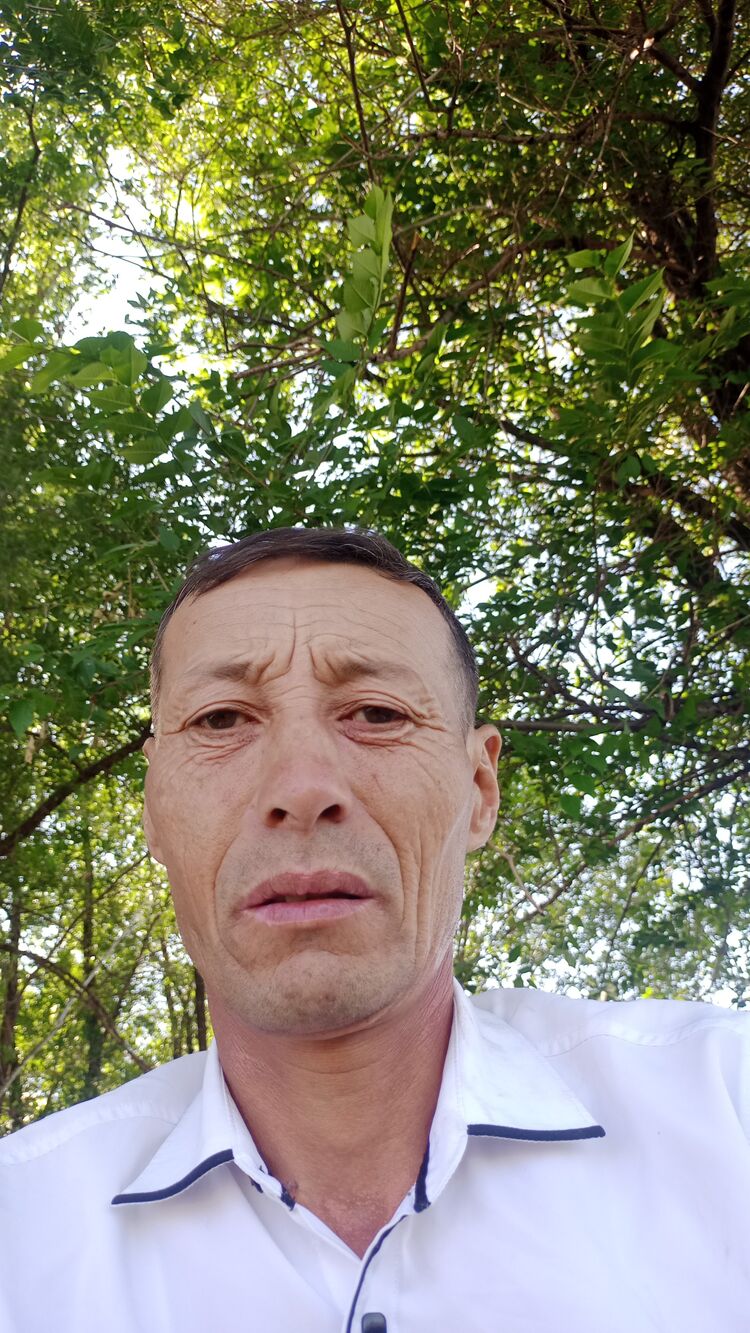  53146739  , 44 ,    