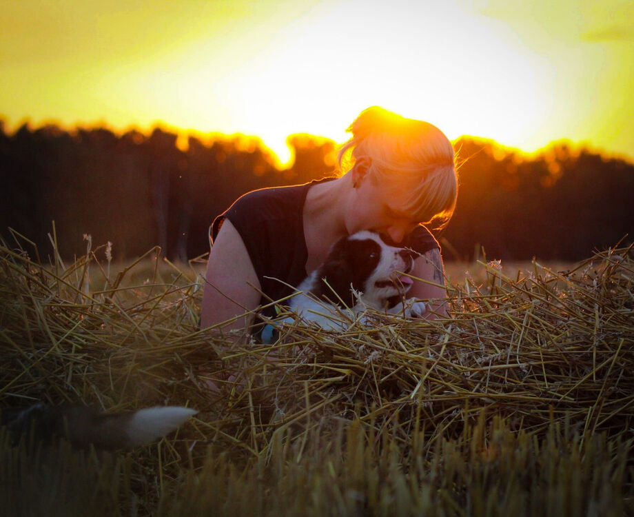 ���� 29458539 ������� Chicago, 33 ����, ���� ���������� � ������