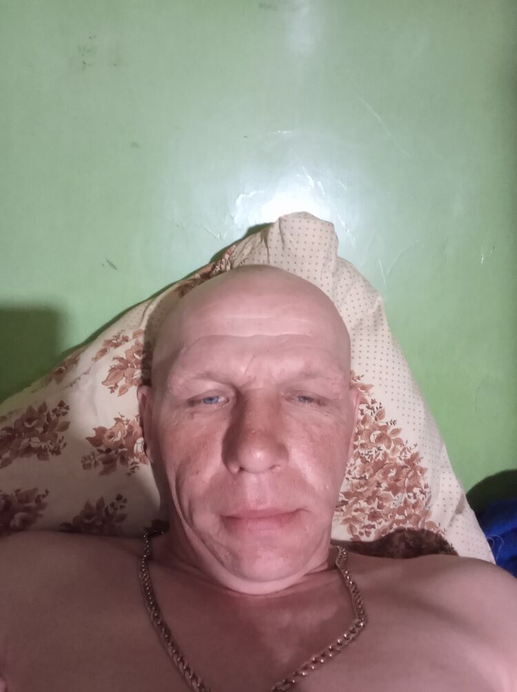  42146309  , 46 ,    