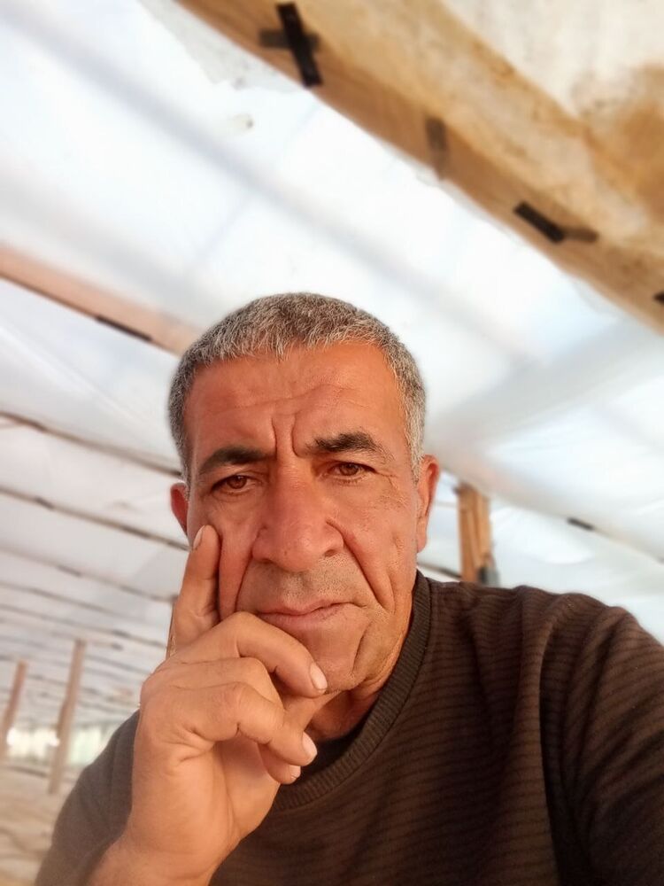  43082829  , 59 ,    