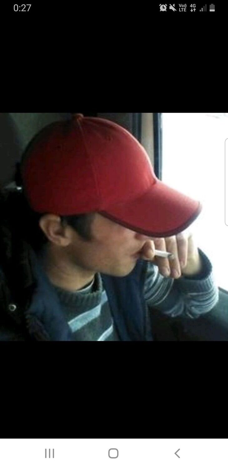  33244189  , 36 ,    
