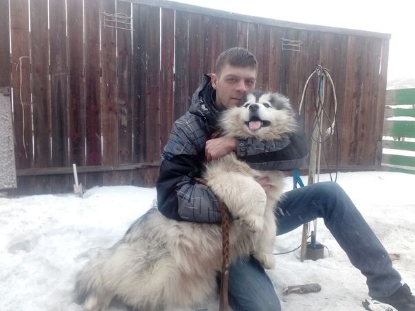 ���������� ����������, ���� ������� �������, 32 ����, ������������ ��� c�������� ���������