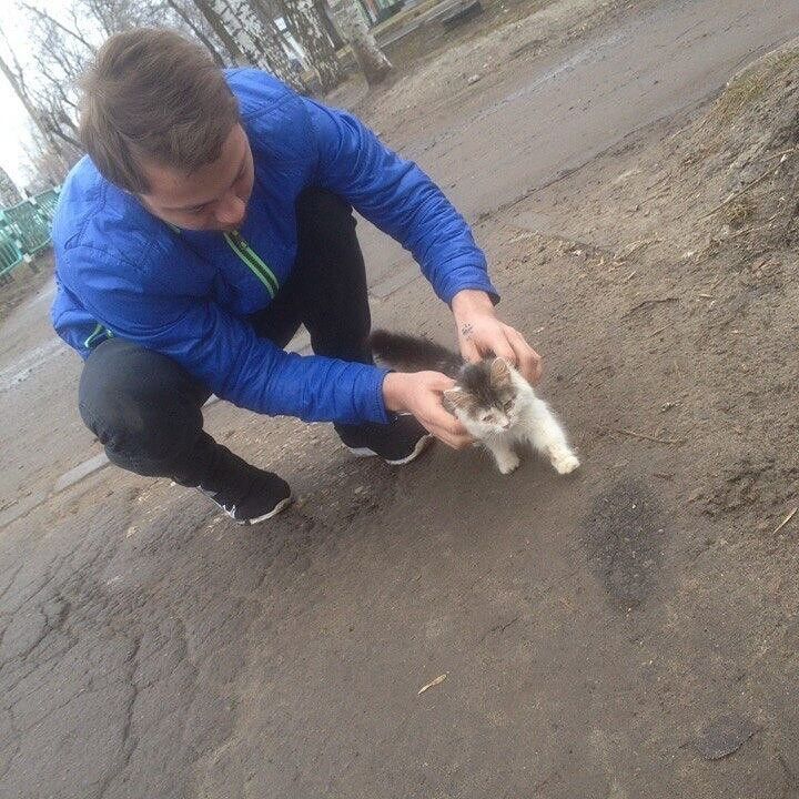 ���� 13529389 ������� Archi, 27 ���, ���� ���������� � ��������