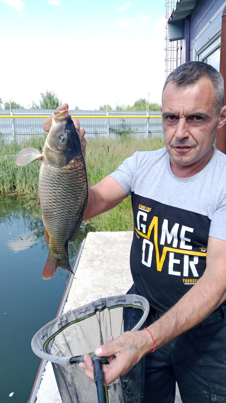 ���������� �������������, ���� ������� ˸��, 47 ���, ������������ ��� ����� � ���������, c�������� ���������, ���������