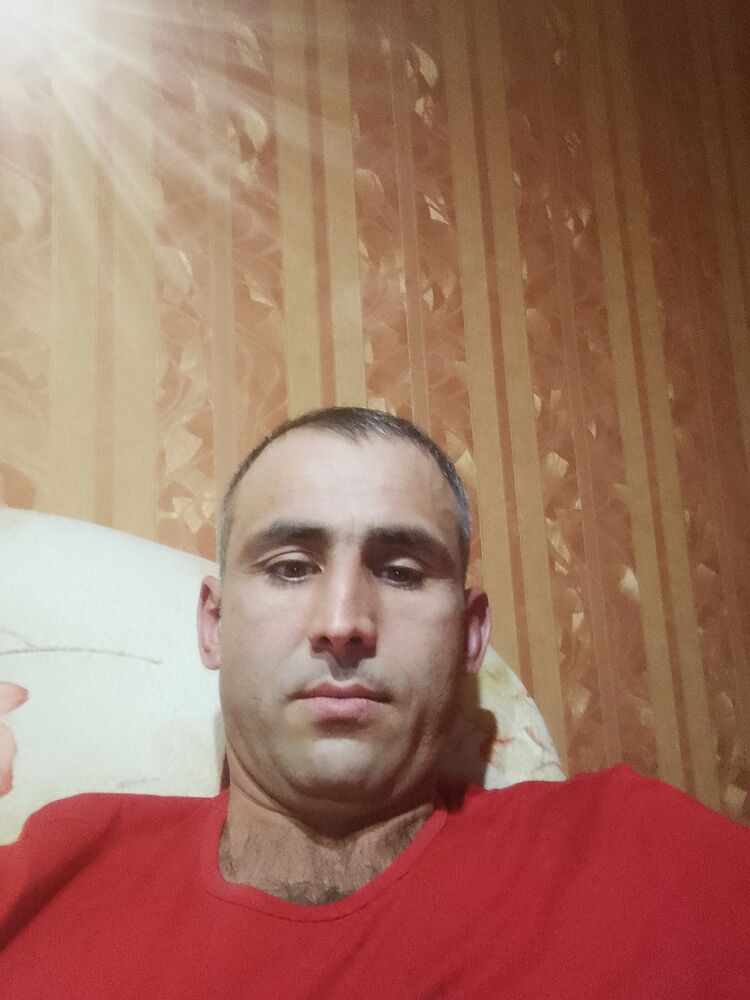  31300929  , 38 ,    
