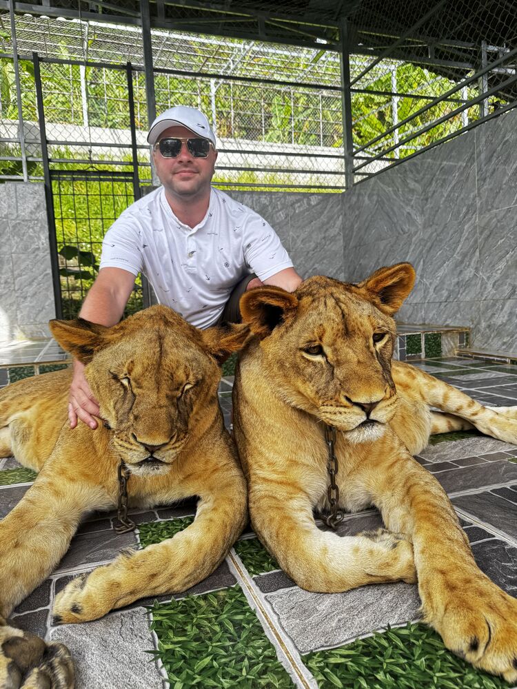 ���� 56087299 ������� ����, 32 ����, ���� ���������� � ������