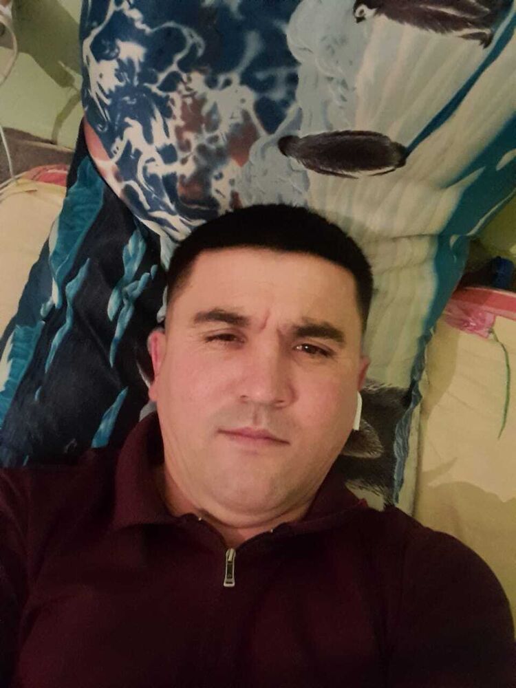  37178629  , 40 ,    