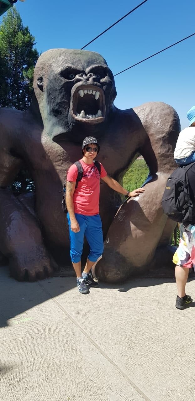  27645229  , 29 ,    --