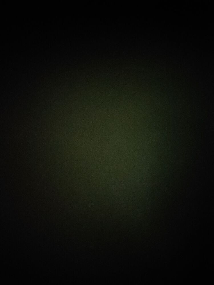  43997709  , 19 ,    