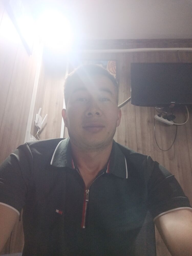  51394269  , 29 ,    