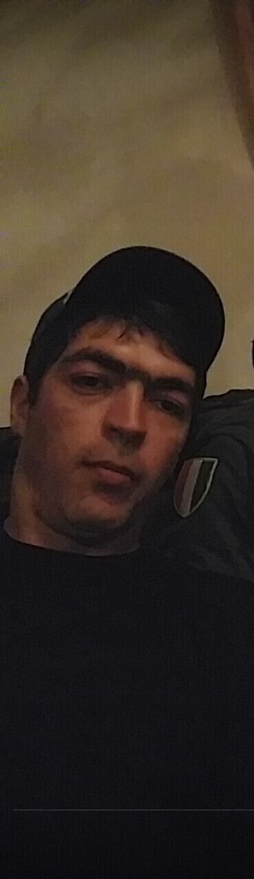  41831229  , 31 ,    