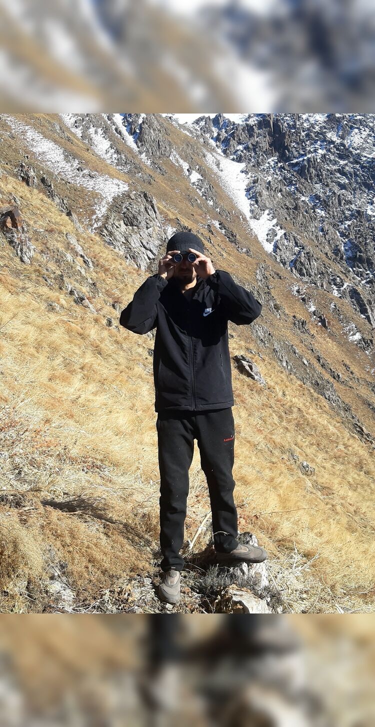 ���� 41207089 ������� ����, 33 ����, ���� ���������� � �������-��-����