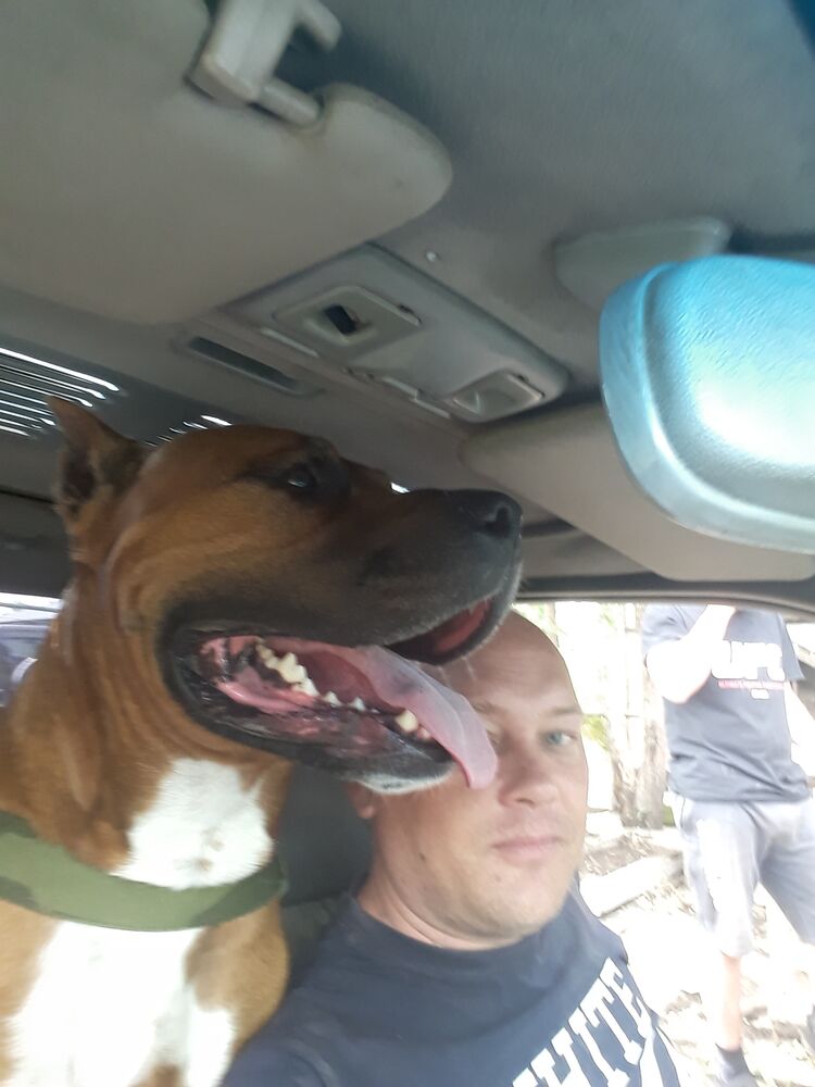 ���������� ����-�����������, ���� ������� �����, 44 ����, ������������ ��� ����� � ���������, c�������� ���������