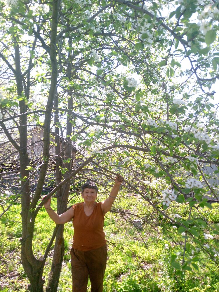 ���������� �������-���������, ���� ������� ������, 68 ���, ������������ ��� c�������� ���������