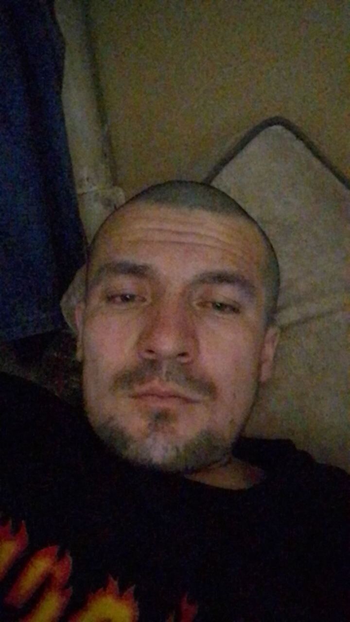  33202699  , 32 ,    -