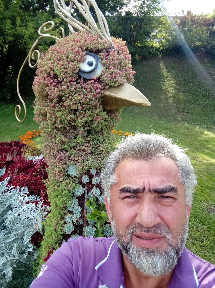  ,   , 49 ,   ,   