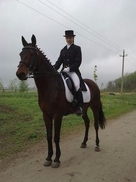 ���� 43281829 ������� ���, 31 ���, ���� ���������� � ������