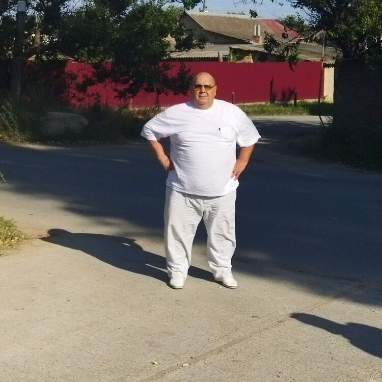 ���� 44603379 ������� ����, 50 ���, ���� ���������� � �������