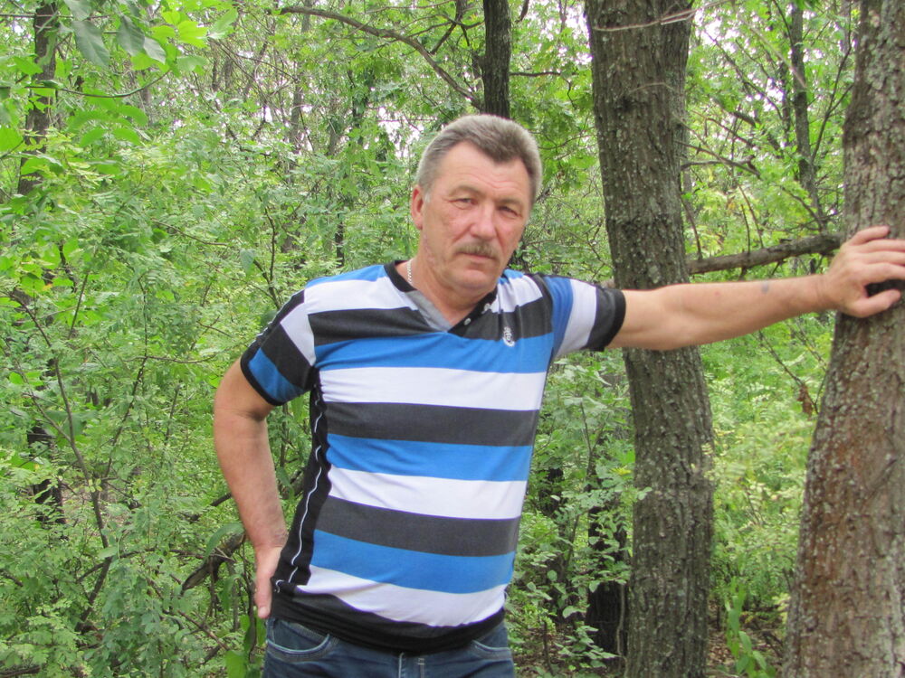 ���� 55913469 ������� �����, 65 ���, ���� ���������� � ��������