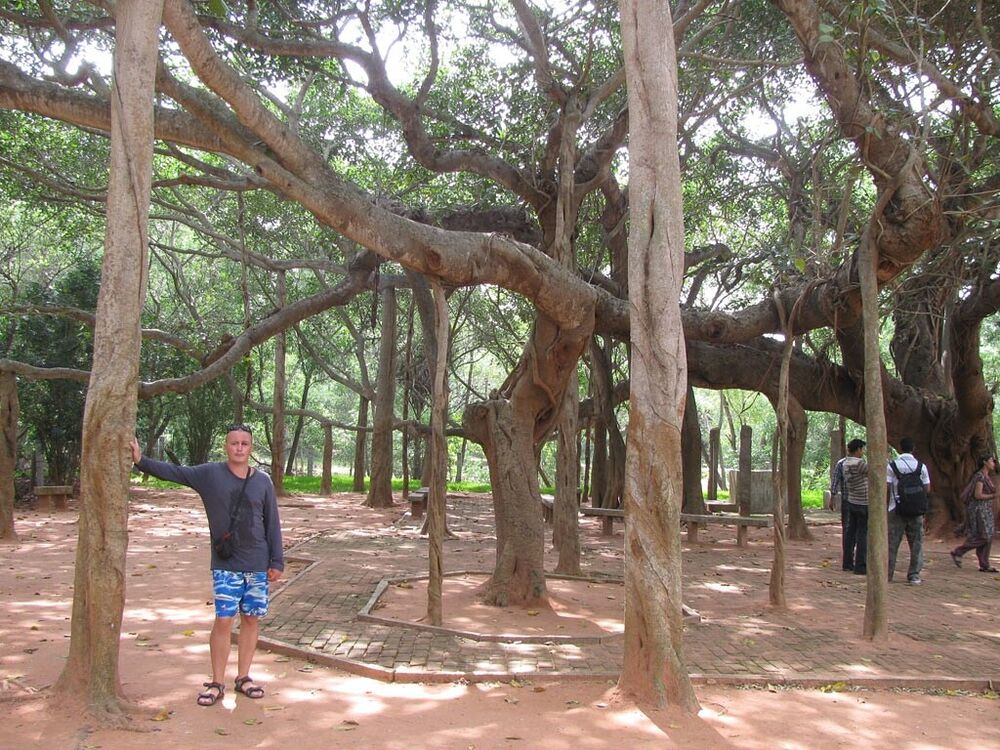 ���������� ������, ���� ������� ������, 46 ���, ������������ ��� ������, ����� � ���������