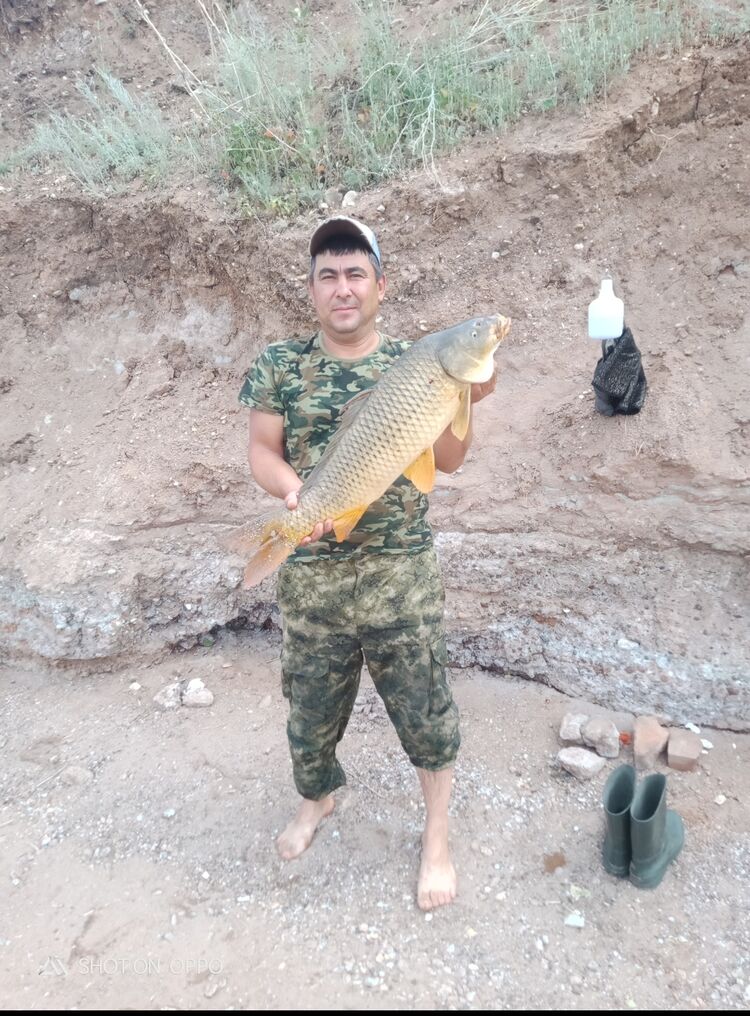 ���������� ������, ���� ������� ������, 45 ���, ������������ ��� c�������� ���������