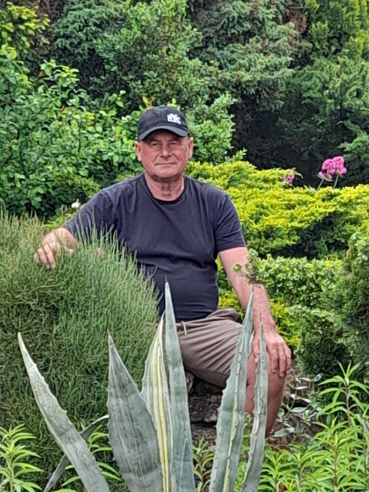  ,   , 62 ,   ,   , 