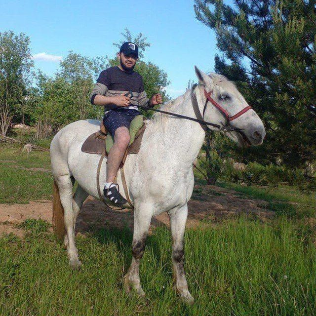 ���������� ������, ���� ������� �����, 37 ���, ������������ ��� ������, ����� � ���������