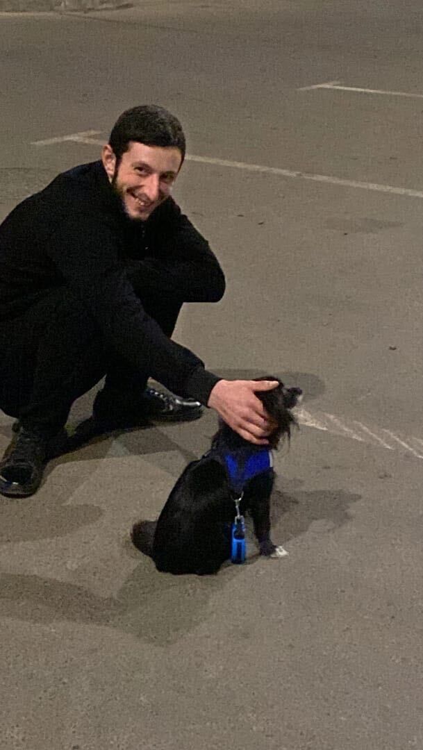 ���������� �������, ���� ����� ������, 24 ����, ������������ ��� ������, ����� � ���������