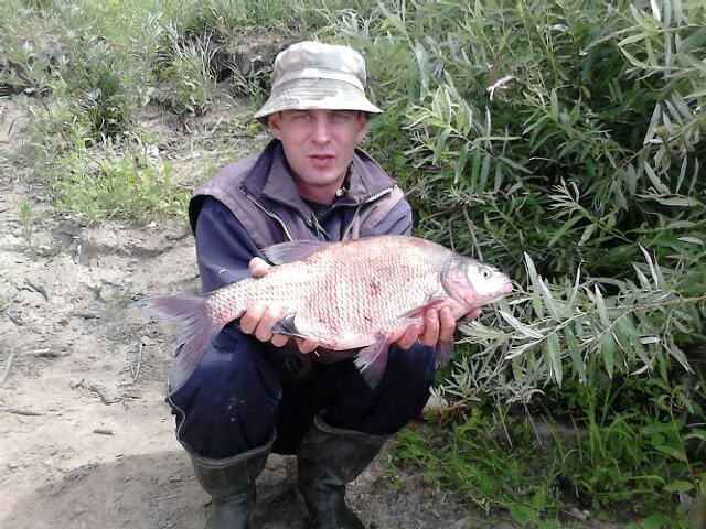 ���������� ������, ���� ������� ������, 46 ���, ������������ ��� ������, ����� � ���������, c�������� ���������