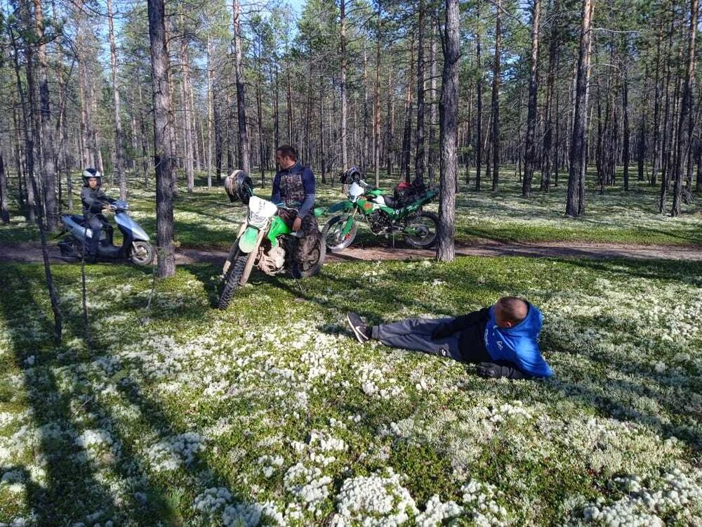 ���������� ������, ���� ������� �����, 38 ���, ������������ ��� ������, ����� � ���������